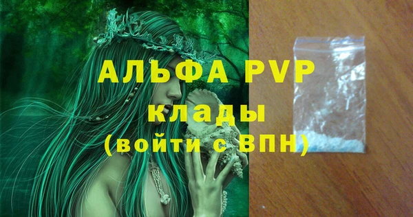 apvp Рославль